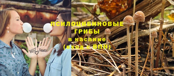 mdpv Покачи