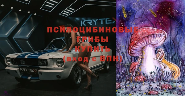 тгк Покров