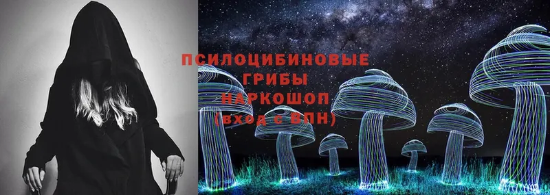 kraken ссылки  Стрежевой  Псилоцибиновые грибы Psilocybine cubensis 