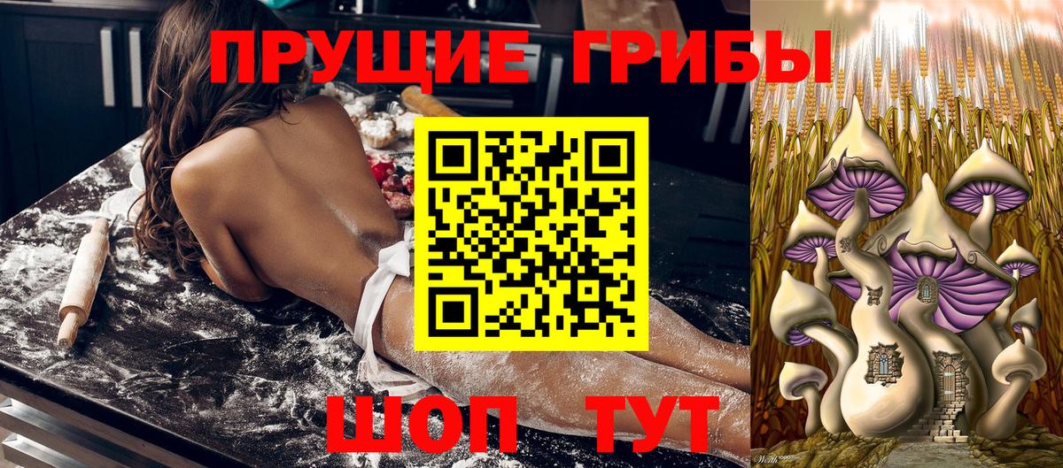 Галлюциногенные грибы ЛСД Стрежевой