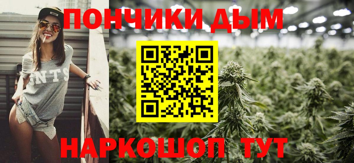 Бошки Шишки MAZAR Стрежевой